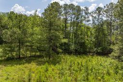242 Sugar Loaf Road  photo 4