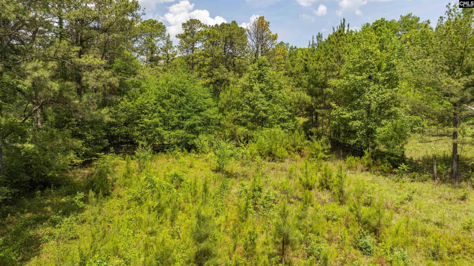 242 Sugar Loaf Road  Photo 6