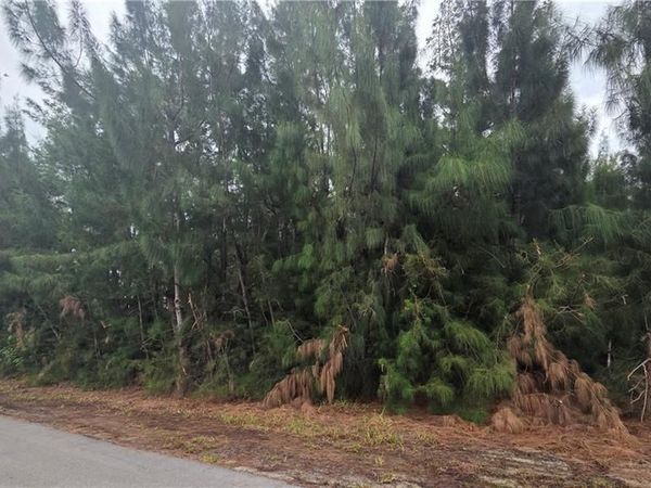 1121 NW 24th PL, CAPE CORAL, FL 33993