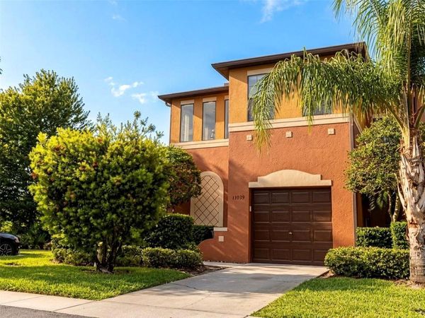 30039 MOSSBANK DRIVE , WESLEY CHAPEL, FL 33543