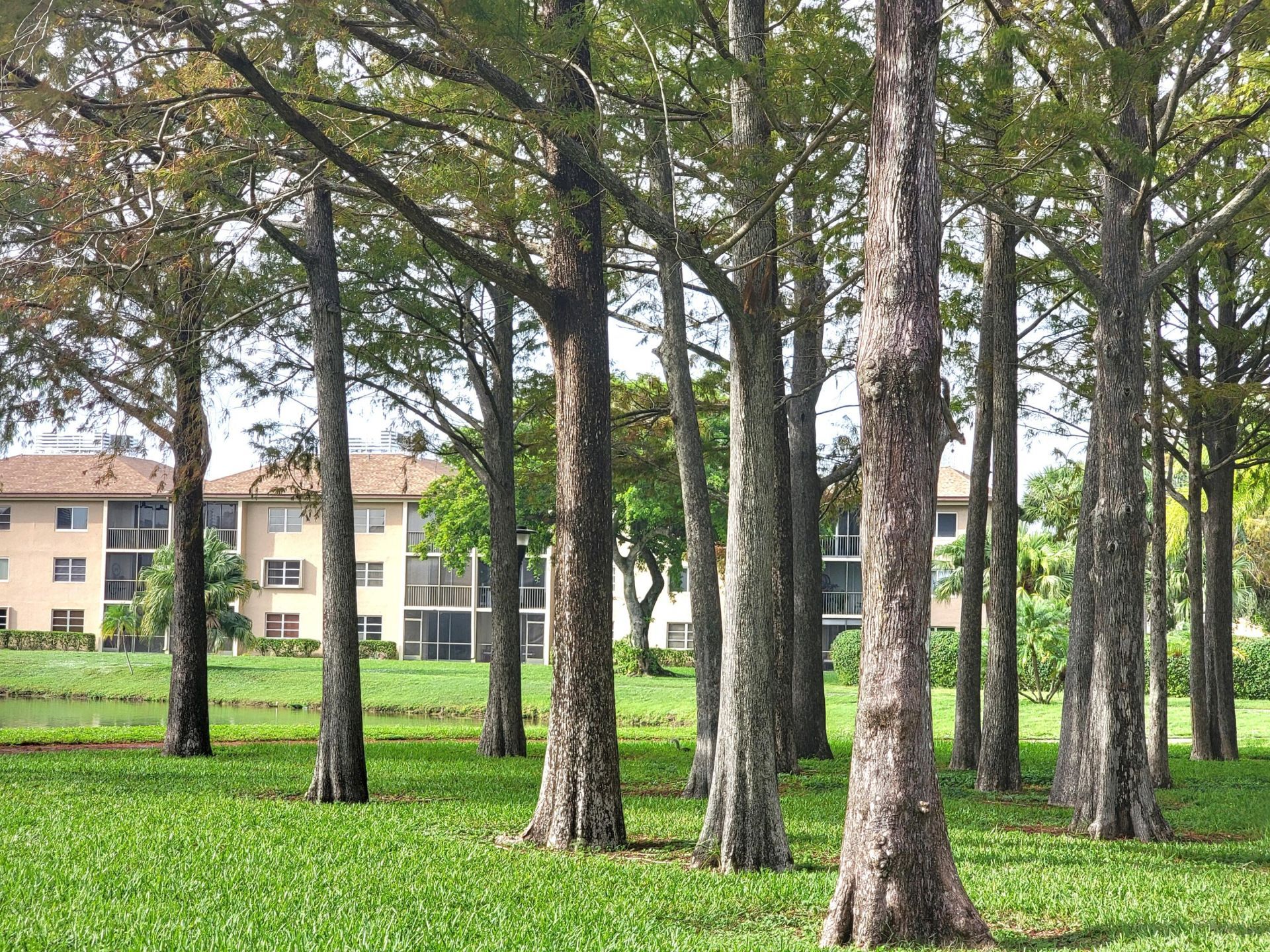 7840 NW 50th Street, Unit 504, Lauderhill, FL 33351 Photo