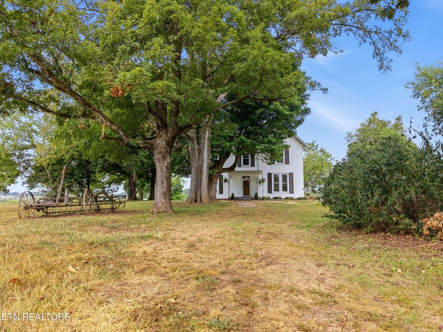 Property Image 49