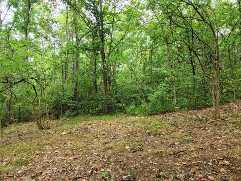 398 Bear Creek Rd, Washington Township, OH 45120 Photo 7