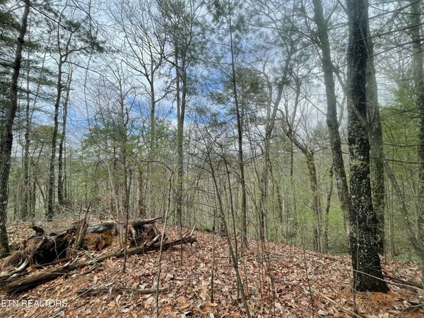 TBD Walnut Flats Rd, Walland, TN 37886