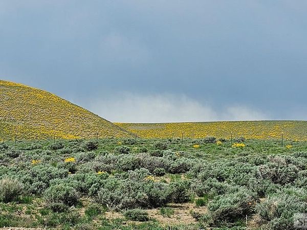 1981 Blizzard Mountain Road, ARCO, ID 83213