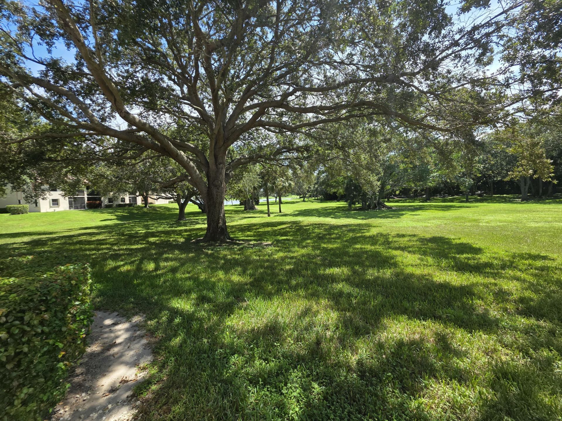 3300 Jaywood Terrace, Unit 1160, Boca Raton, FL 33431 Photo