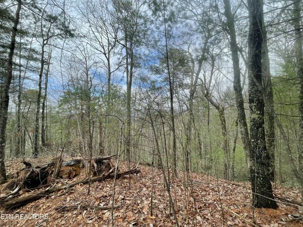 0 Walnut Flats Rd, Unit 1, Walland, TN 37886