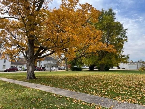 322 S James Street , Goodland, IN 47948