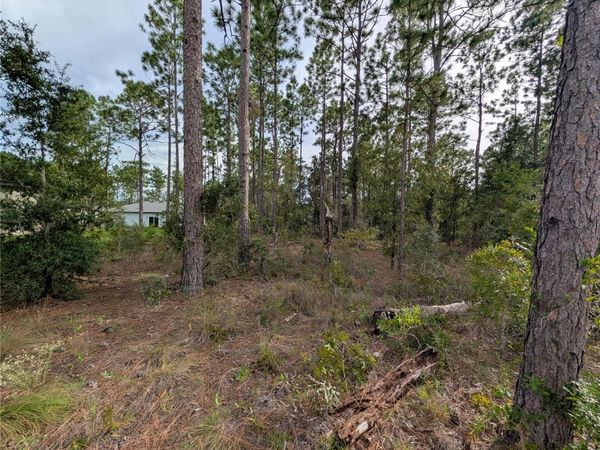 640 W HERONSBILL LANE , CITRUS SPRINGS, FL 34434