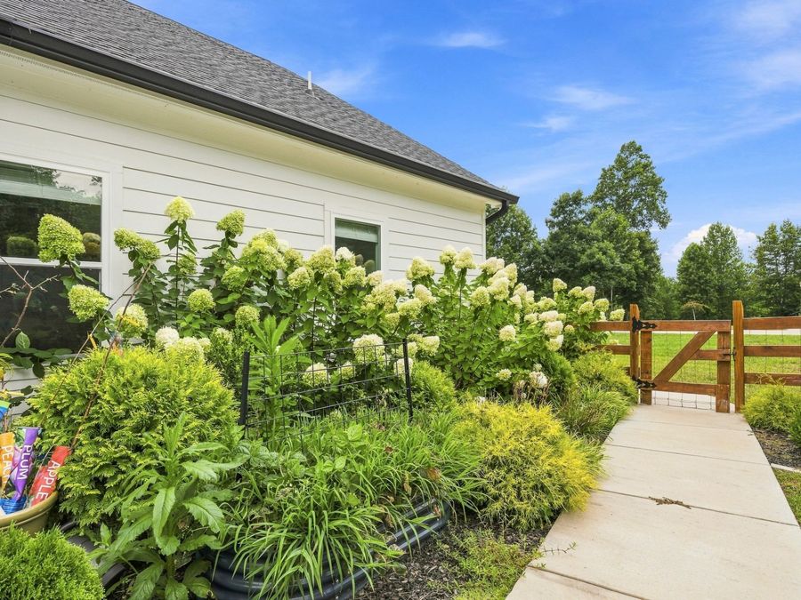 Property Image 73