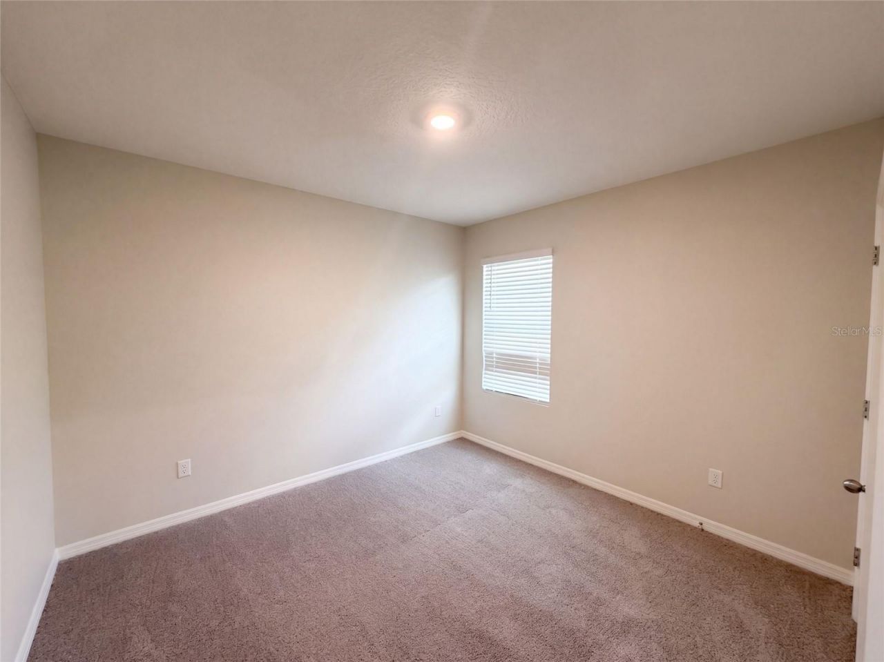2112 Elio Ridge Drive, Zellwood, FL 32798 Photo
