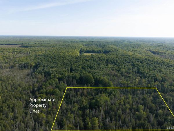 TBD 40 Acres A off Diffin Road, Limestone Twp, MI 49816