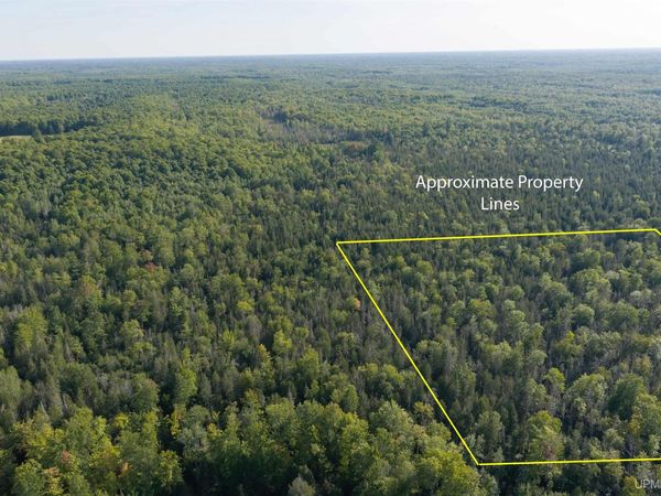 TBD 40 Acres Parcel B Diffin Road, Limestone Twp, MI 49816