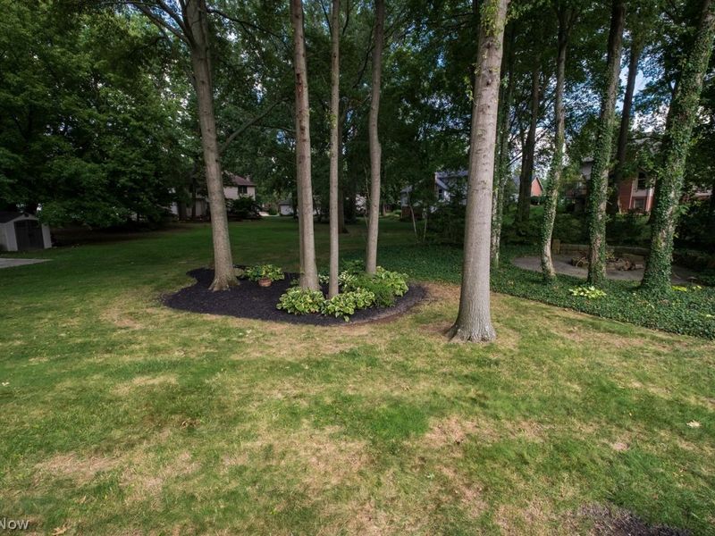6452 Shenandoah Avenue NW, Canton, OH 44718 Photo 43