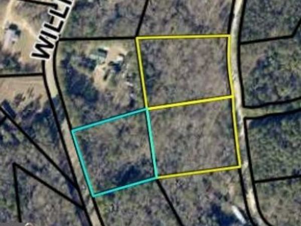 0 Williams Bridge Road, Toccoa, GA 30577
