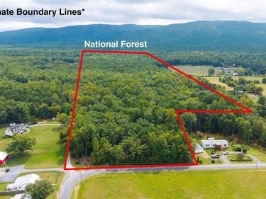 47.8 Acres HORSESHOE CIR, STUARTS DRAFT, VA 24477