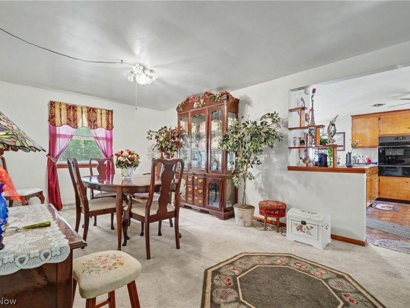 1420 E Beech Street, Alliance, OH 44601 Photo 11