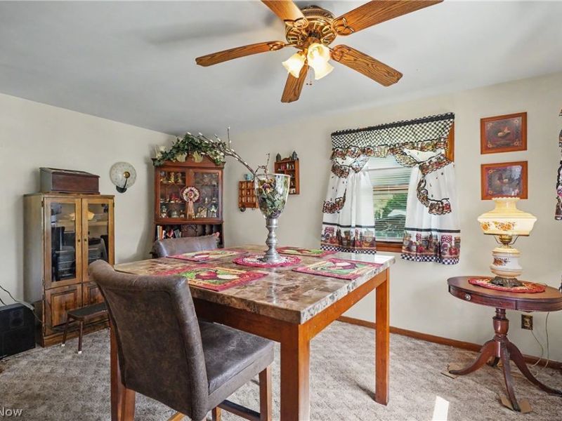 1420 E Beech Street, Alliance, OH 44601 Photo 13