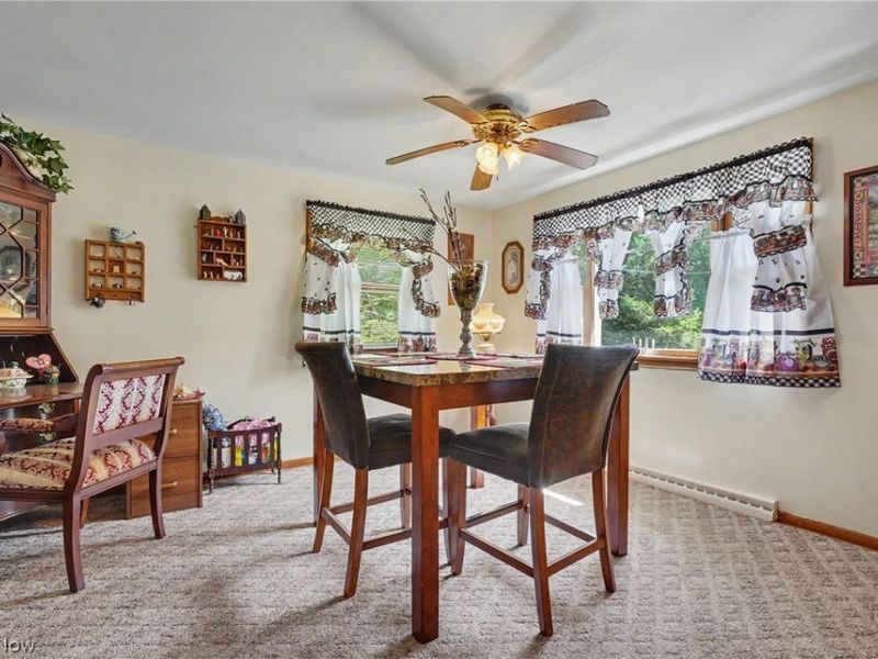 1420 E Beech Street, Alliance, OH 44601 Photo 14
