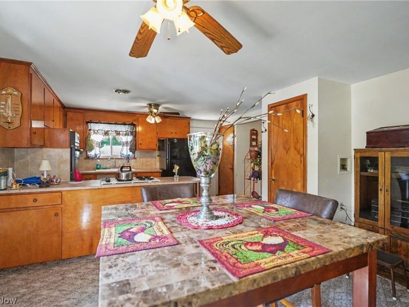 1420 E Beech Street, Alliance, OH 44601 Photo 18