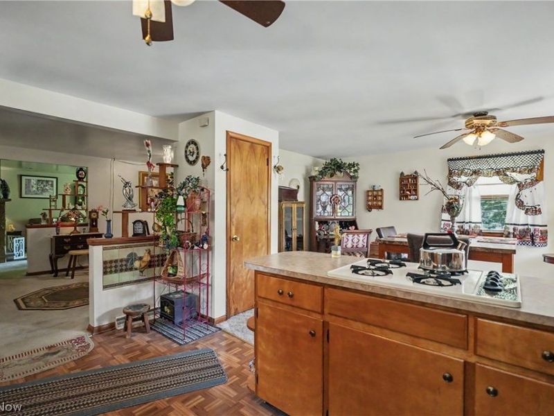 1420 E Beech Street, Alliance, OH 44601 Photo 19
