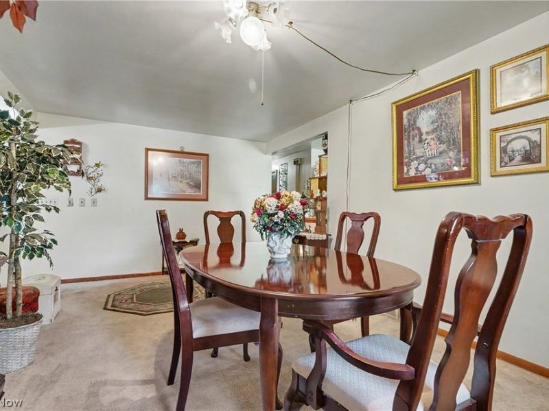 1420 E Beech Street, Alliance, OH 44601 Photo 23