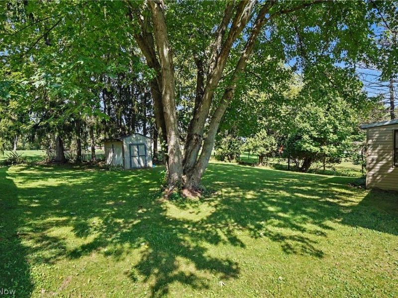 1420 E Beech Street, Alliance, OH 44601 Photo 6