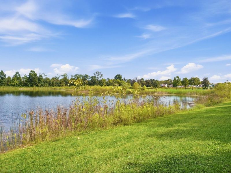 7168 Oliver Winchester Drive, Canal Winchester, OH 43110 Photo 62