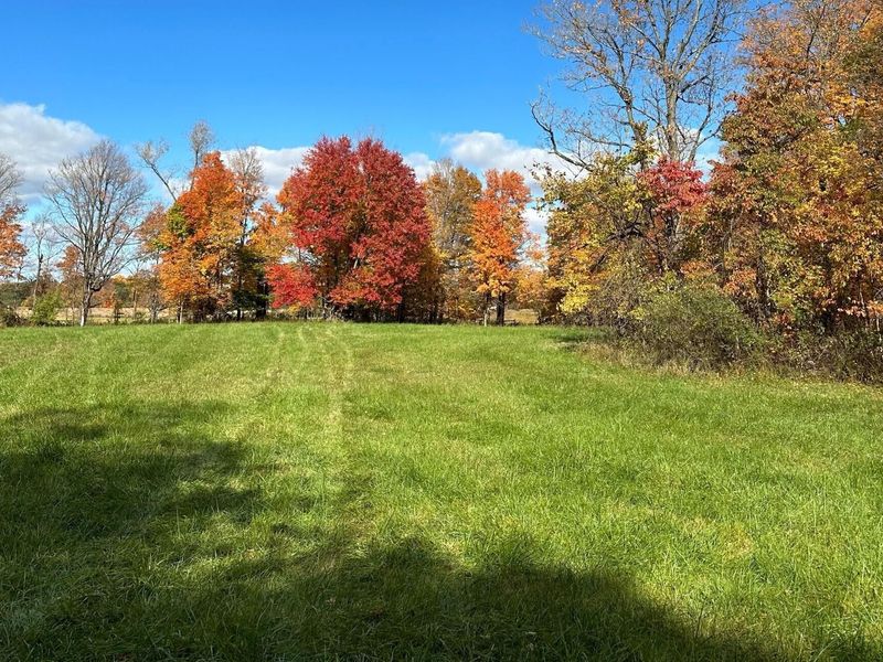 4529 Mounts Road NW, Alexandria, OH 43001 Photo 17