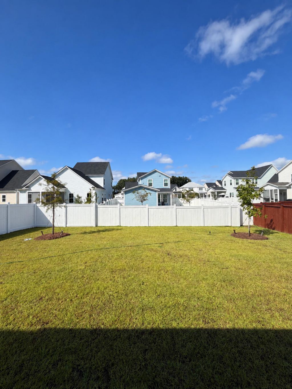 718 Twinflower Lane Photo 38