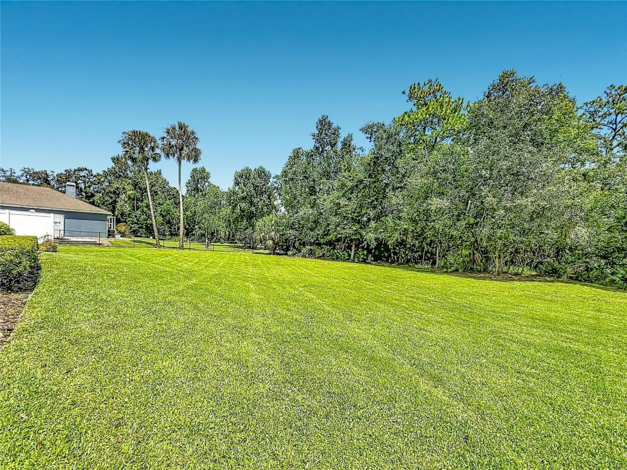 18815 Carr Drive, Lutz, FL 33559 Photo