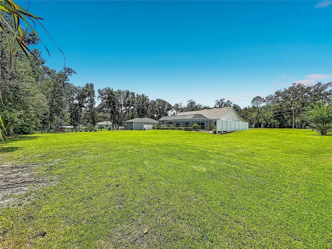 18815 Carr Drive, Lutz, FL 33559 Photo