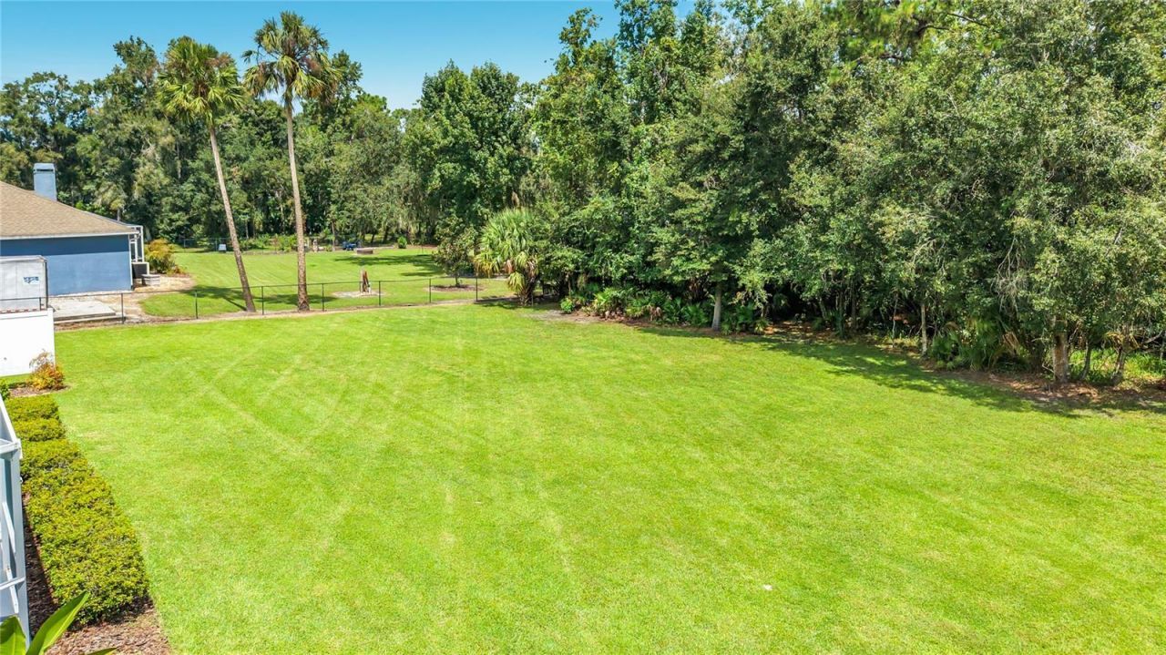 18815 Carr Drive, Lutz, FL 33559 Photo