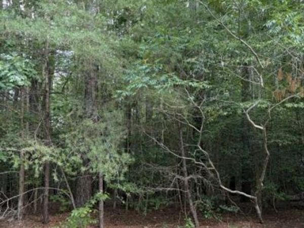 000 Buoy Drive, HEATHSVILLE, VA 22473