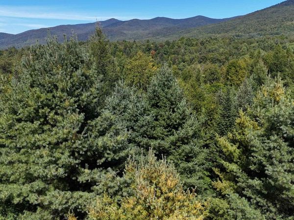 Lot 1 Bone Brook Lane, Lancaster, NH 03584