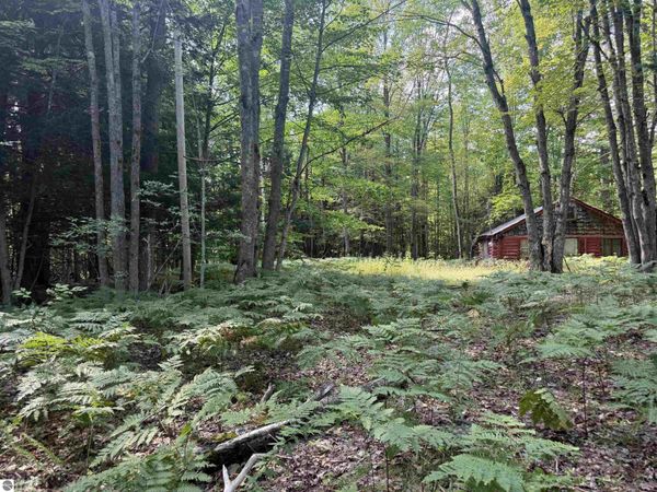 11712 Henschell Road, Fife Lake, MI 49633