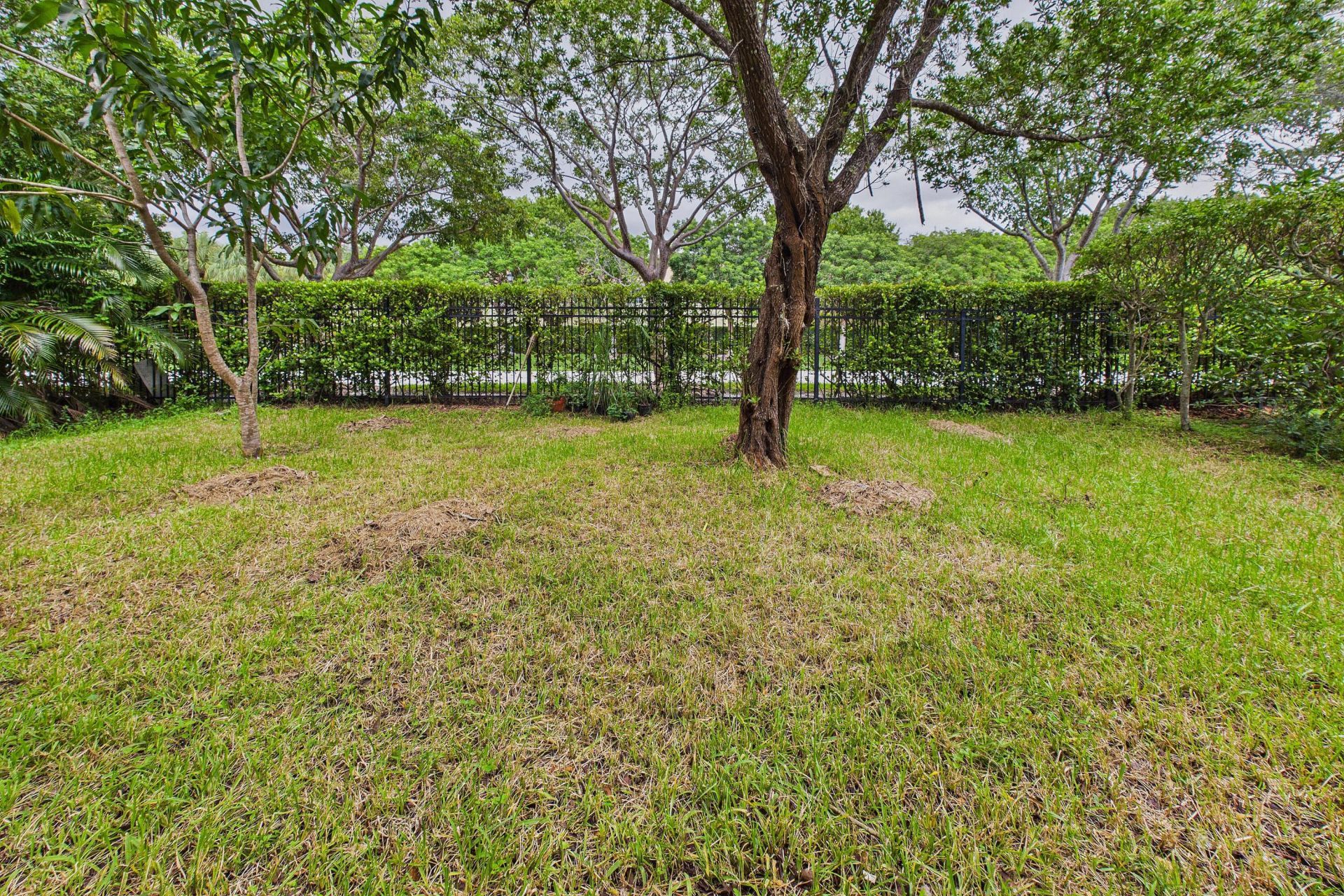 657 Perdido Heights Drive, Lake Belvedere Estates, FL 33413 Photo