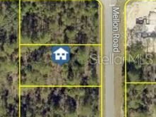 MELLON ROAD , WEEKI WACHEE, FL 34614