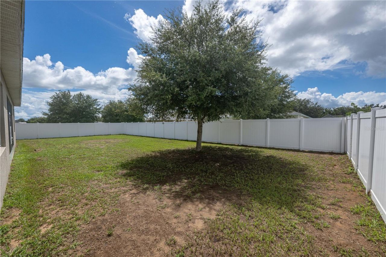 37102 Scenic Bluff Drive, Grand Island, FL 32735 Photo