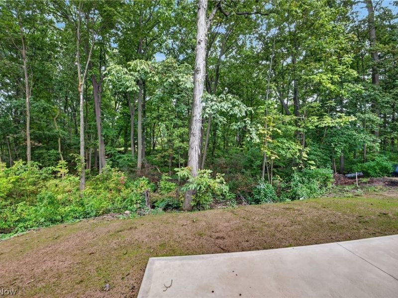 9953 Aldridge Avenue, Columbia Station, OH 44028 Photo 26