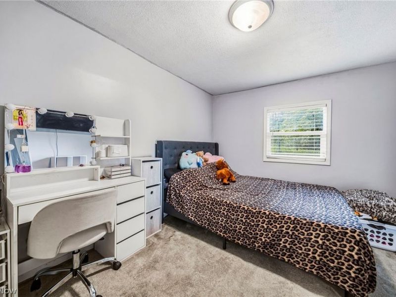 1993 Dadeyville Road , Austinburg, OH 44010 Photo 16