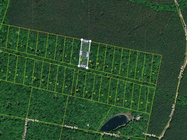 0 Young Road, Unit Tract1, Soddy Daisy, TN 37379