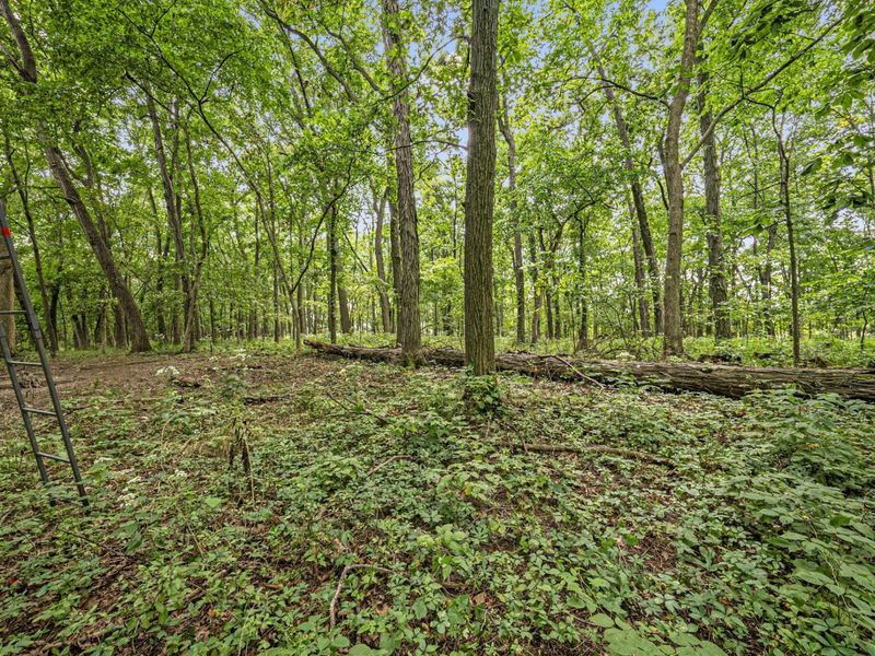 0 Likens Road, Marion, OH 43302 Photo 50
