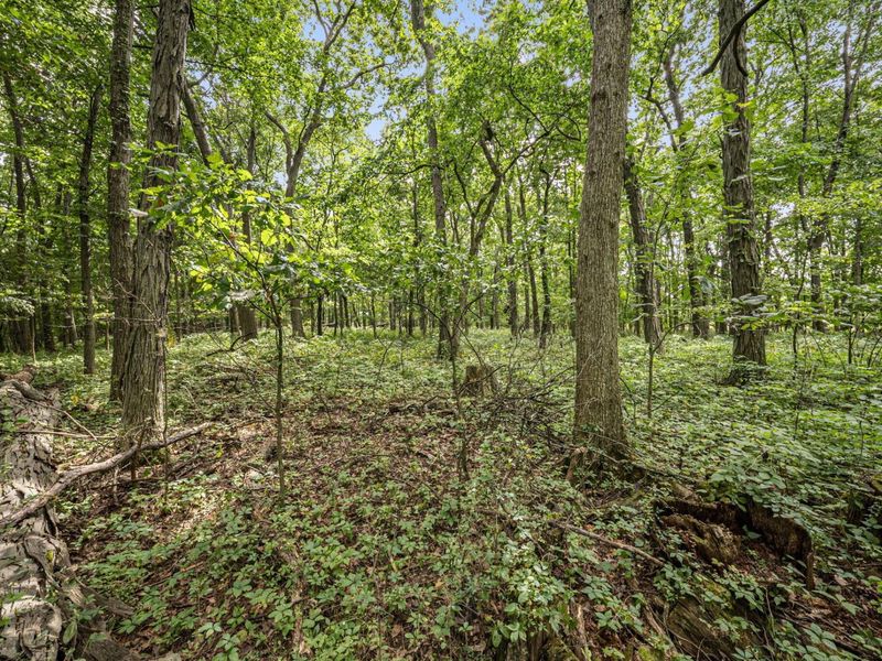 0 Likens Road, Marion, OH 43302 Photo 51