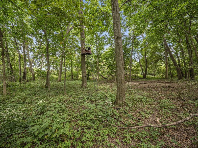 0 Likens Road, Marion, OH 43302 Photo 52