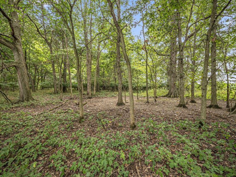0 Likens Road, Marion, OH 43302 Photo 59