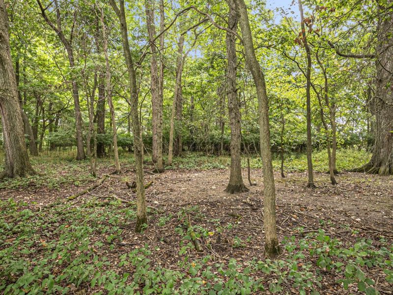 0 Likens Road, Marion, OH 43302 Photo 60