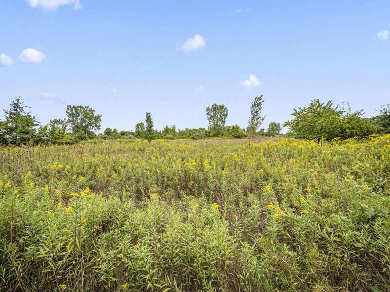0 Likens Road, Marion, OH 43302 Photo 61