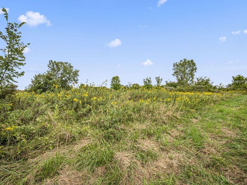 0 Likens Road, Marion, OH 43302 Photo 64