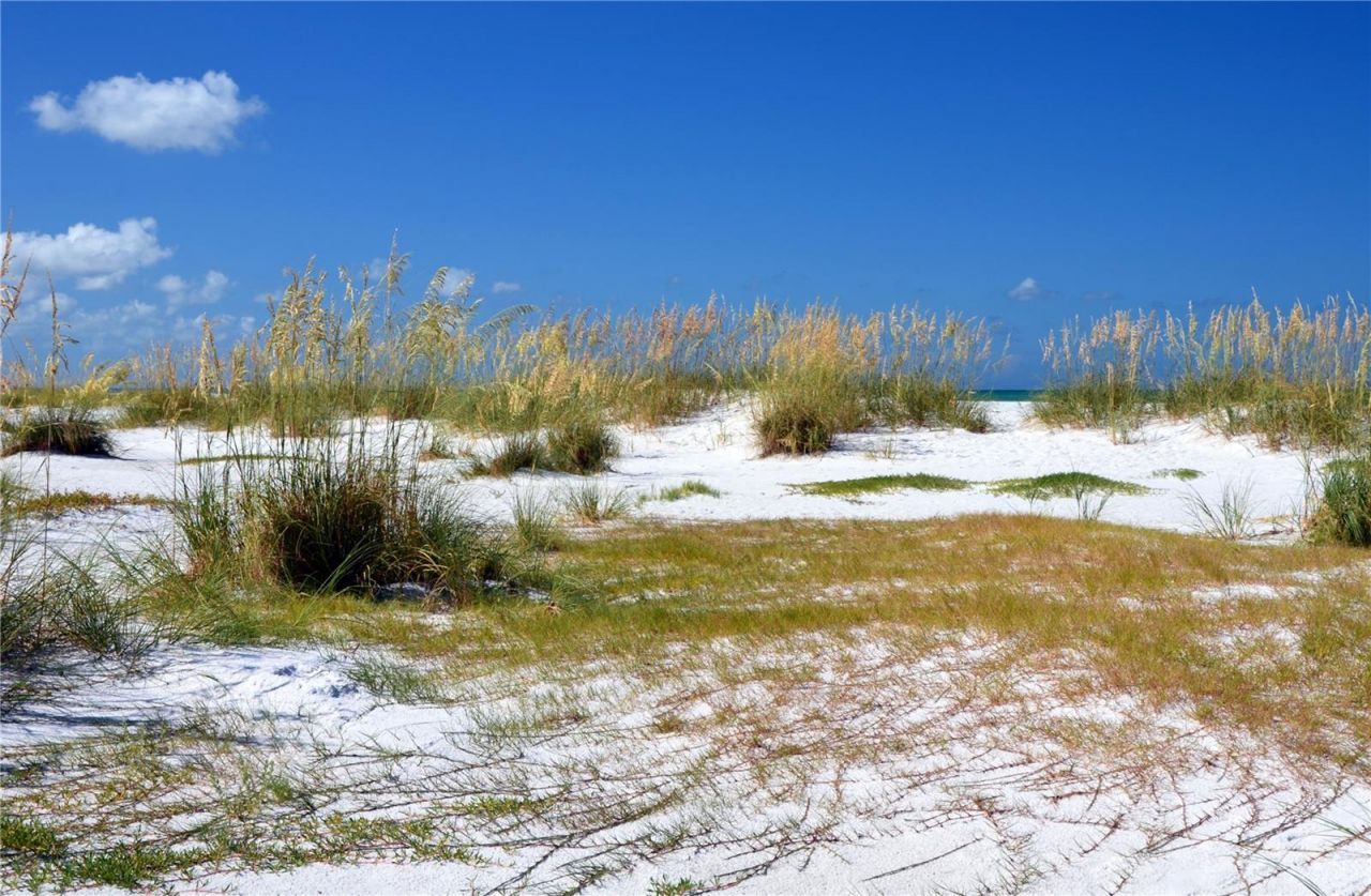 105 47th Avenue Drive W, Unit 377, Bradenton, FL 34207 Photo